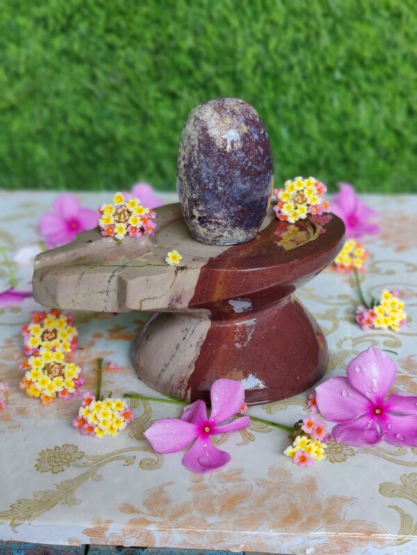 Unique Symbols Narmada Shivling & Yoni Base Jaladhara - Image 3