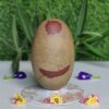 Chandra Molishwar Narmadeshwar Shivling tilakdhari (5 Inch)