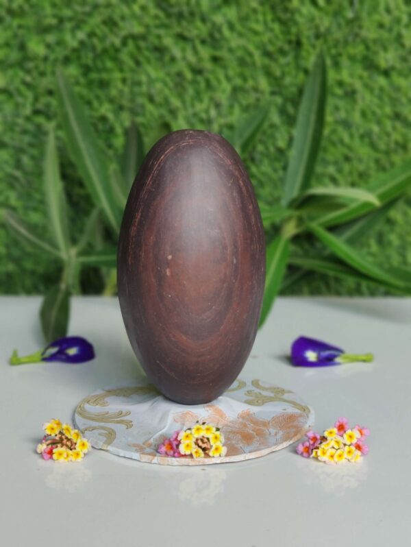 Natural Janeudhari Narmadeshwar Shivling 5 Inch - Image 2