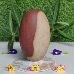 Original Narmadeshwar Shivling 5 Inch
