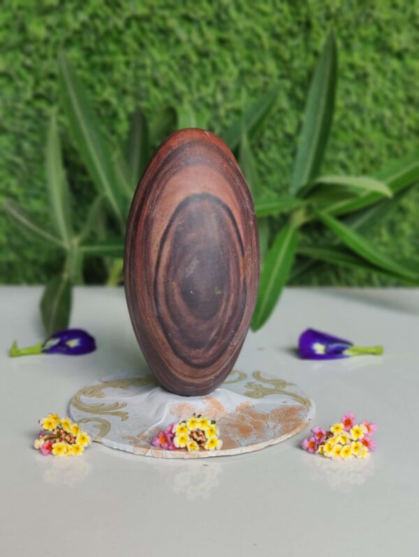Natural Janeudhari Narmadeshwar Shivling 5 Inch
