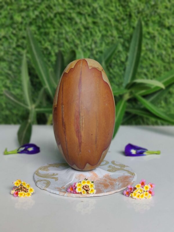 Narmada Narmadeshwar Shivling 5 Inch - Image 2