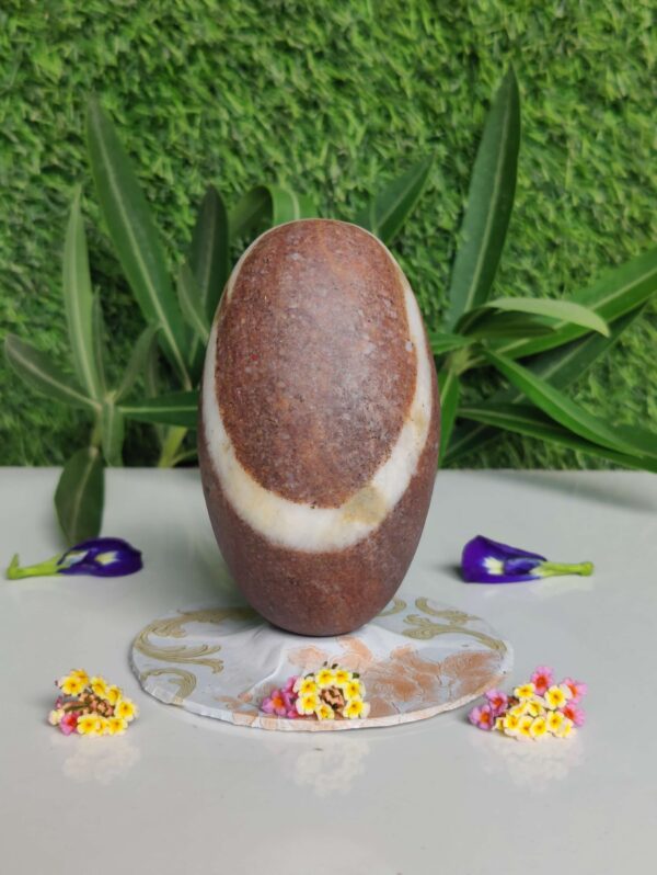 Rare Narmadeshwar Shiva Linga 5 Inch - Image 2