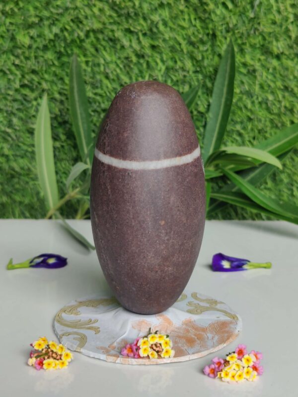 Rare Narmadeshwar Shiva Linga 5 Inch