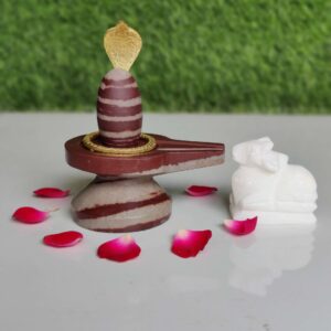 Small Unique Narmadeshwar Shivling With Jaladhari