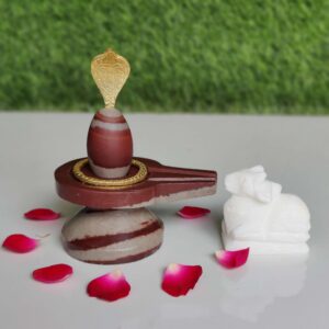 Rudra Narmada ShivaLingam