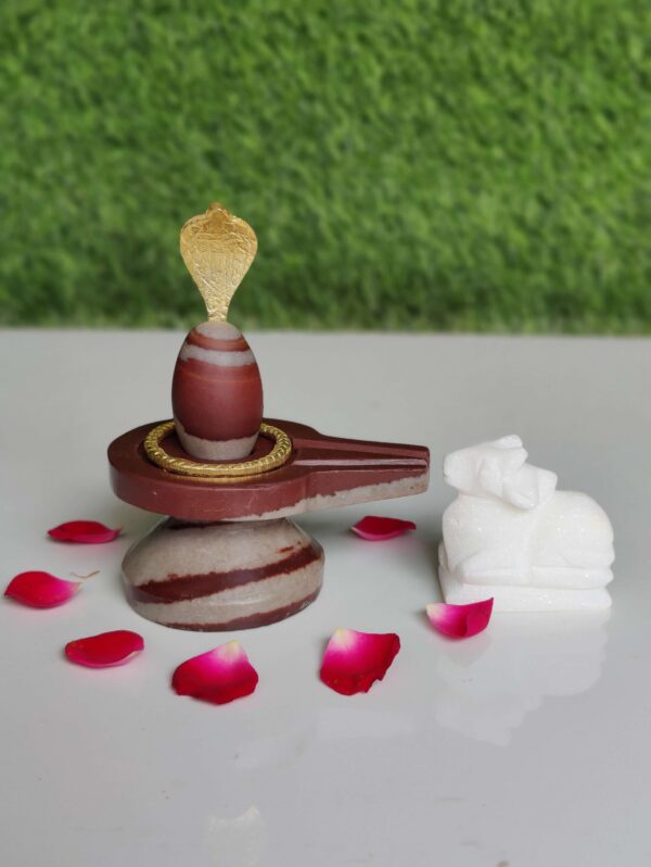Rudra Narmada ShivaLingam
