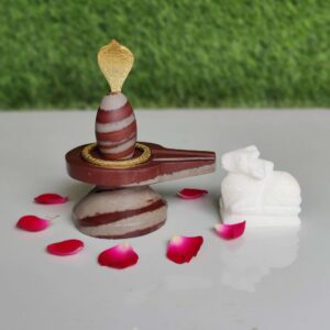 Amarnath Baba Barfani Narmada Shivling