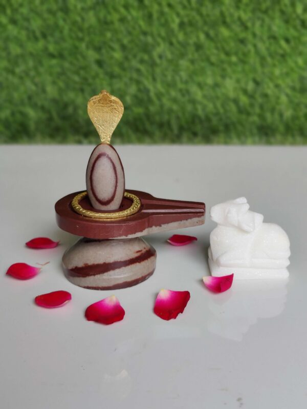 Types Of Narmadeshwar Shivling - Image 3