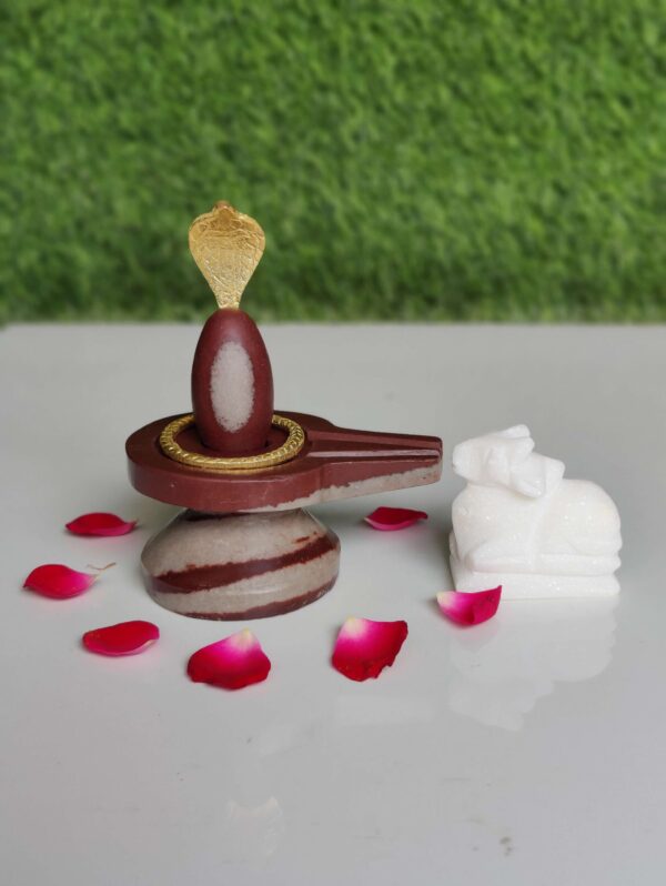 Types Of Narmadeshwar Shivling - Image 4