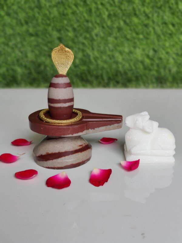 Lord Narmada Shiva Lingam Small Size - Image 3