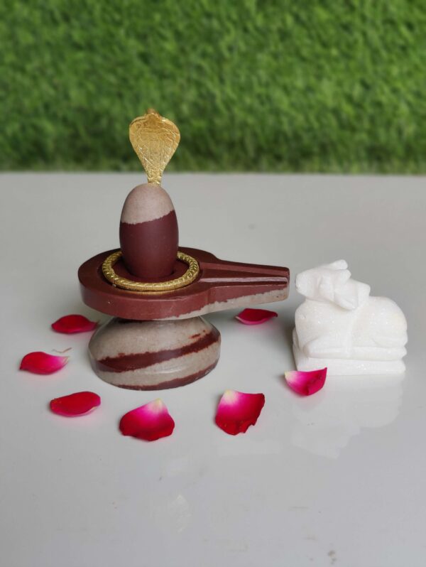 Lord Narmada Shiva Lingam Small Size - Image 4