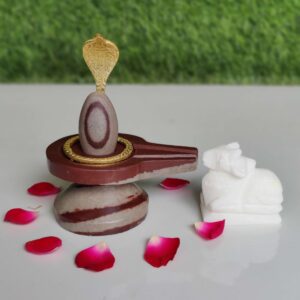 Narmadeshwar Shivling Art