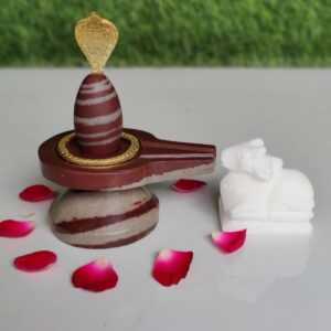Original Shivling set for home pooja