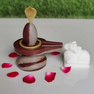 Ardhanarishwar Narmadeshwar Shivling With Stone Jaladhari Full Set
