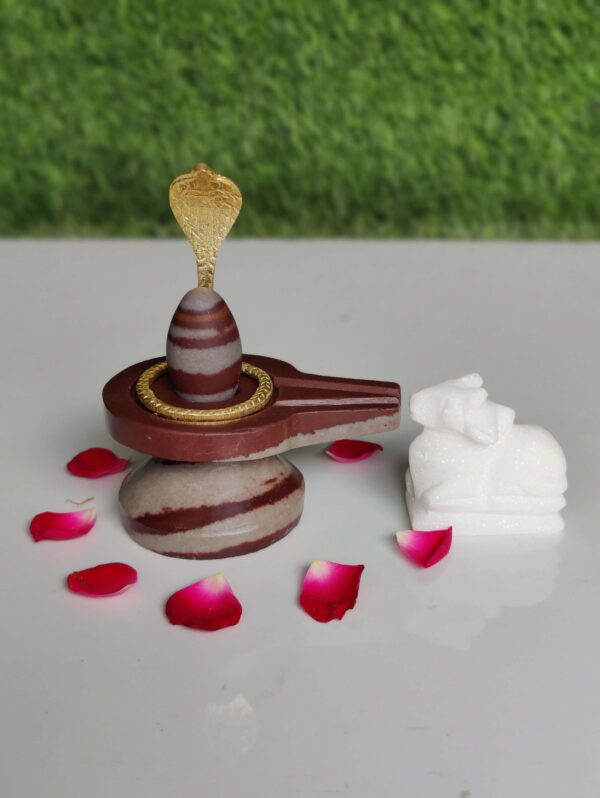 Narmadeshwar Shivling Types