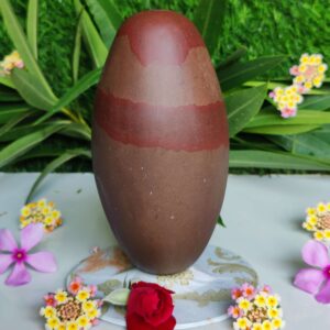 Lord Narmada Shiva Lingam