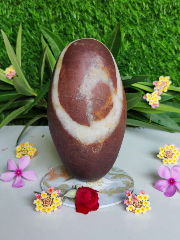 Natural Symbol Narmadeshwar Shivling 6 Inch - Image 3