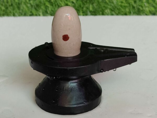 Mahakal Narmada Shivling
