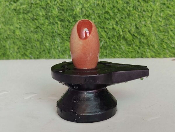 Mahakal Narmada Shivling