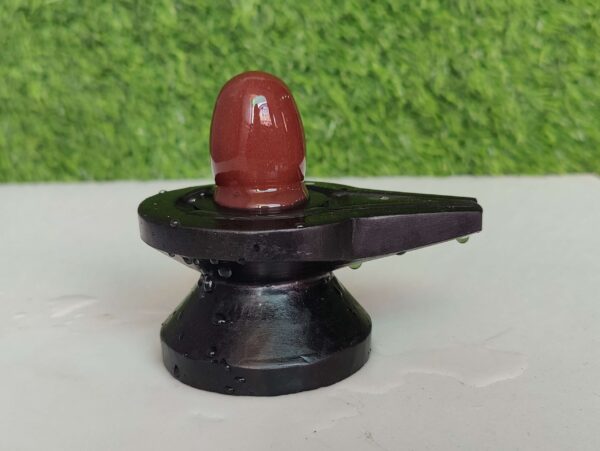 Swayambhu Narmada Shivling - Image 3