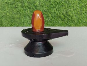 Mahakal Narmadeshwar Shivling