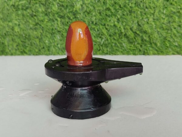 Mahakal Narmadeshwar Shivling