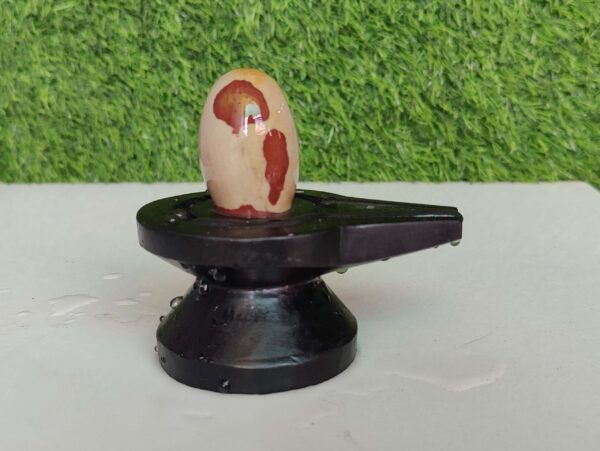 Mahakal Narmada Shivling - Image 4