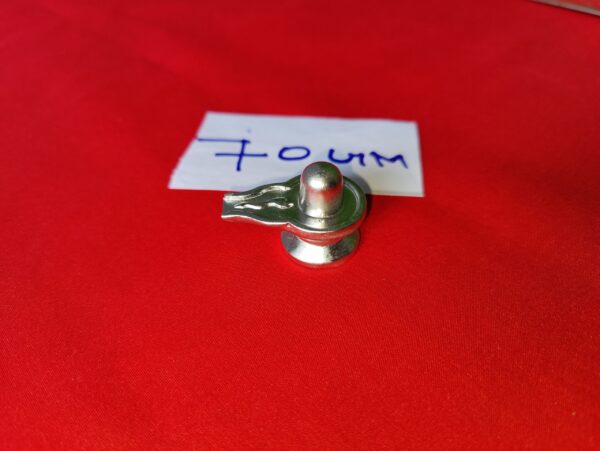 Original And Pure Parad Shivling (70 Gram)