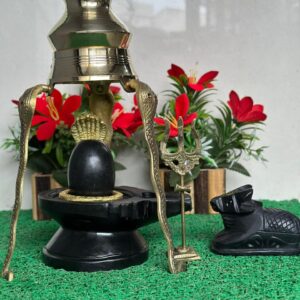 3" Original नर्मदेश्वर शिवलिंग Narmadeshwar shivling 6" black stone Jaladhari for home pooja ke liye full set