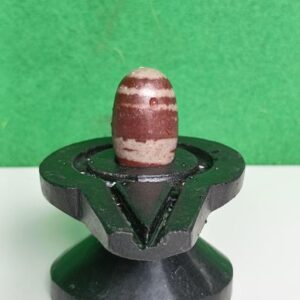 2 Inches Janeudhari Narmadeshwar Shivling With Narmada Stone Jaladhari