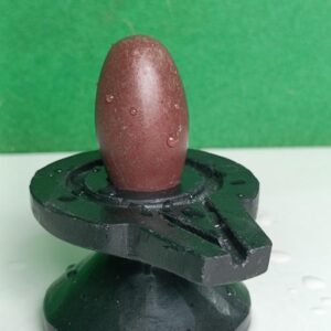 Narmadeshwar Shivling With Damru Bass Jaladhari
