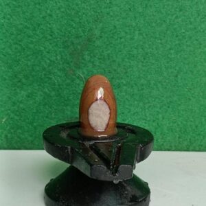 2 Inches Narmadeshwar Shivling With Narmada Stone Jaladhari