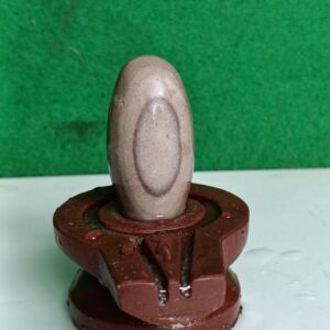 2 Inches Narmadeshwar Shivling With Narmada Stone Jaladhari
