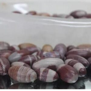 Narmadeshwar Narmada Stone Bana Natural Shivling For Base Size 2 Inch