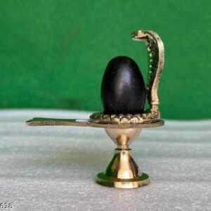 Shivam Vastukala Brass Jaladhari Narmadeshwar Shivling With Brass Base