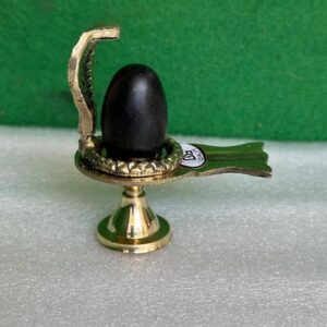 Shivam Vastukala Brass Jaladhari Narmadeshwar Shivling With Brass Base