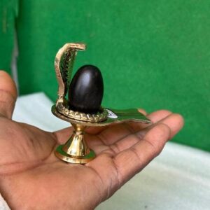 Shivam Vastukala Brass Jaladhari Narmadeshwar Shivling With Brass Base