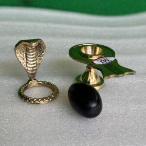 Shivam Vastukala Brass Jaladhari Narmadeshwar Shivling With Brass Base
