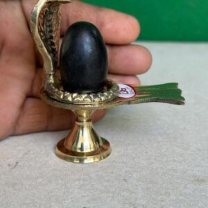Shivam Vastukala Brass Jaladhari Narmadeshwar Shivling With Brass Base