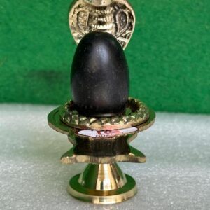 Shivam Vastukala Brass Jaladhari Narmadeshwar Shivling With Brass Base