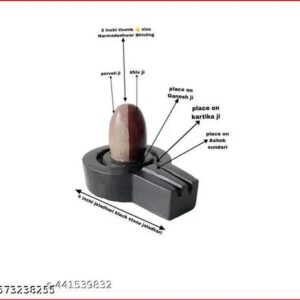 Original Narmadeshwar Narmada Stone Shivling Shiva Lingam Banalingam Shiva Shakti Shivling For Home Daily Worship With Narmada Stone Jaladhari Base Aardhanareshwar Set