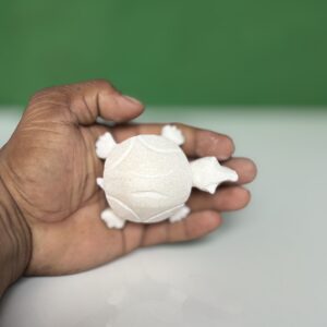 Turtle Tortoise Kachua For Home