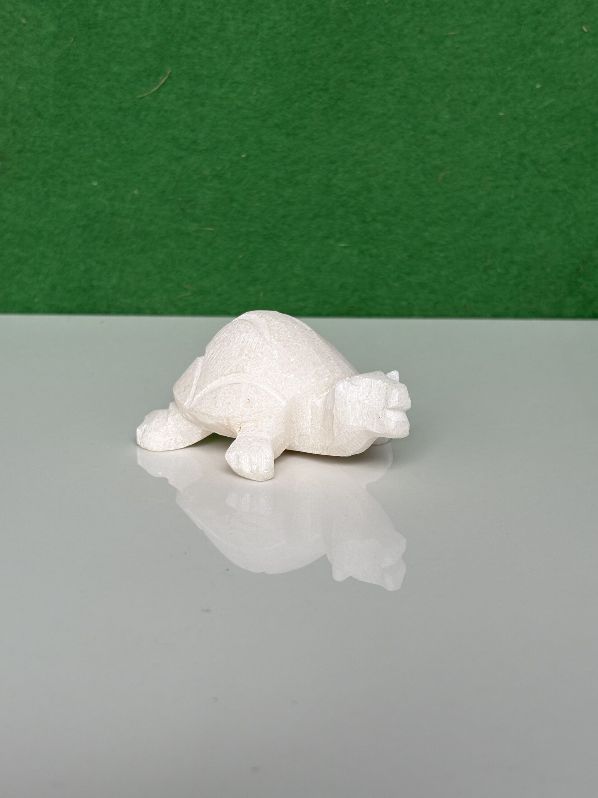 Turtle Tortoise Kachua For Home - Image 3