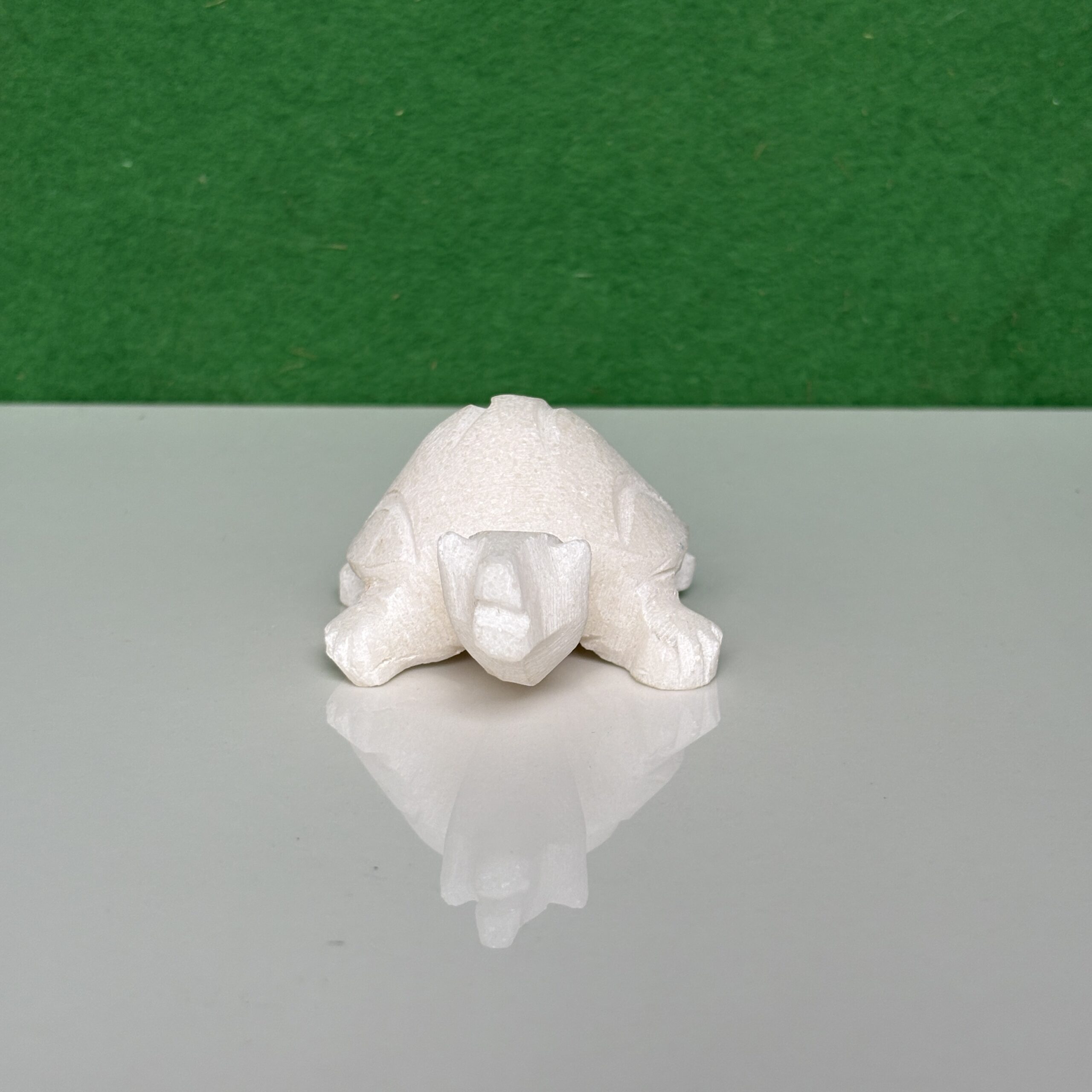 Turtle Tortoise Kachua For Home - Image 4