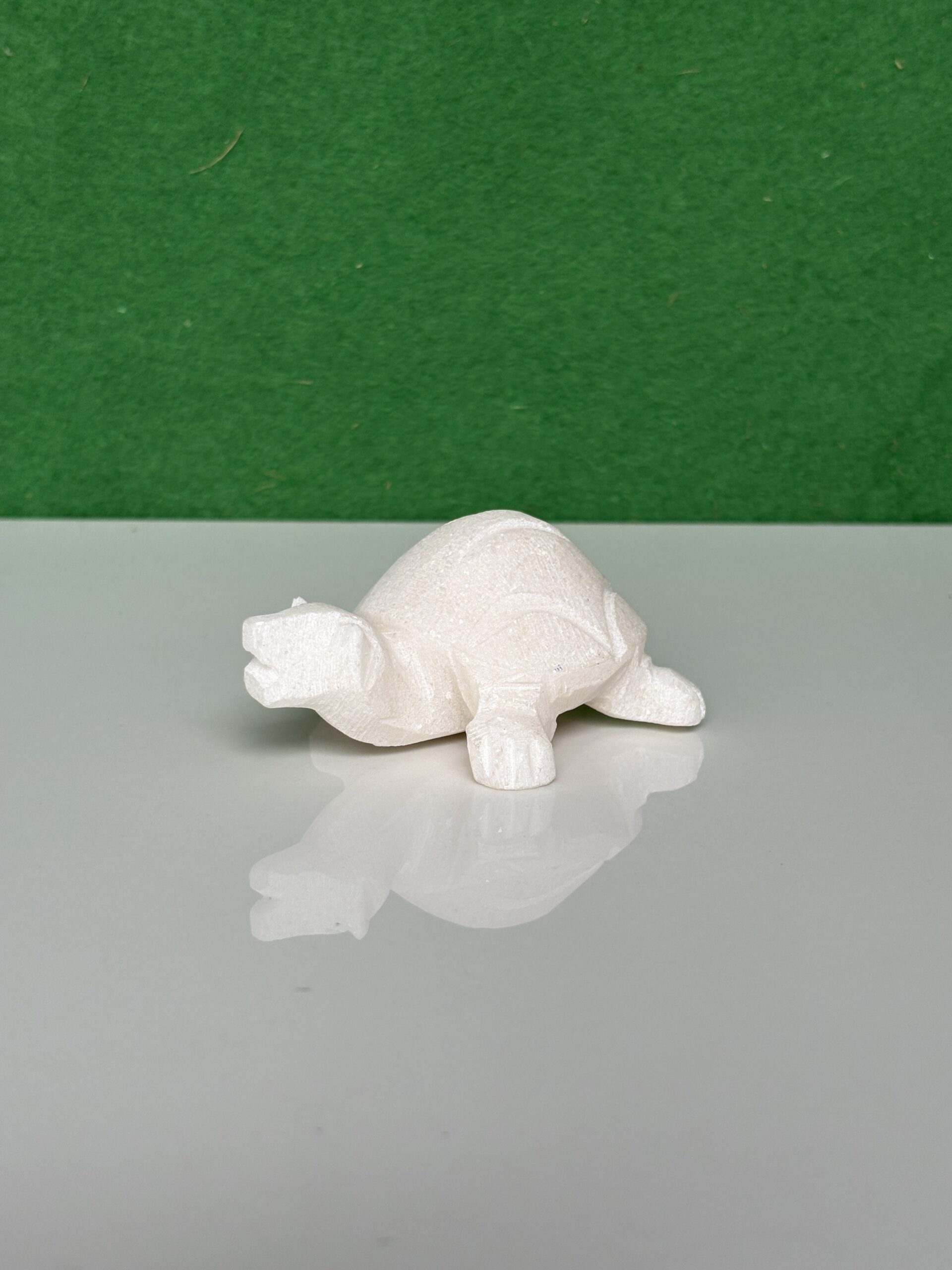 Turtle Tortoise Kachua For Home - Image 5