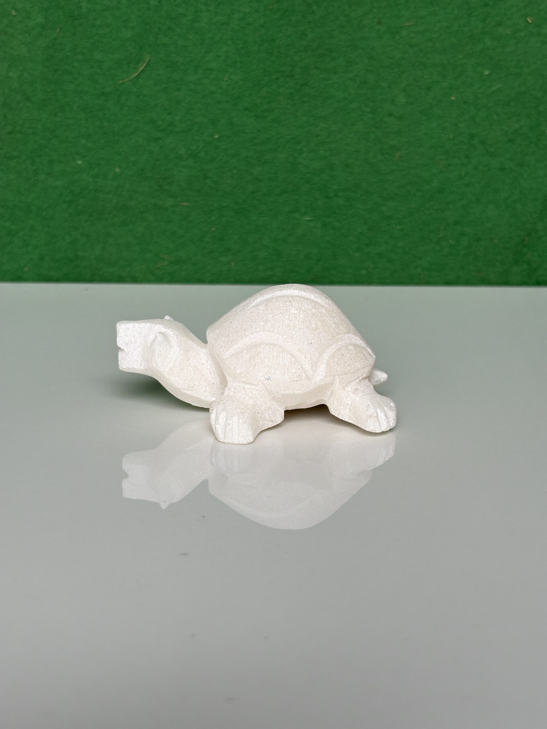 Turtle Tortoise Kachua For Home - Image 6