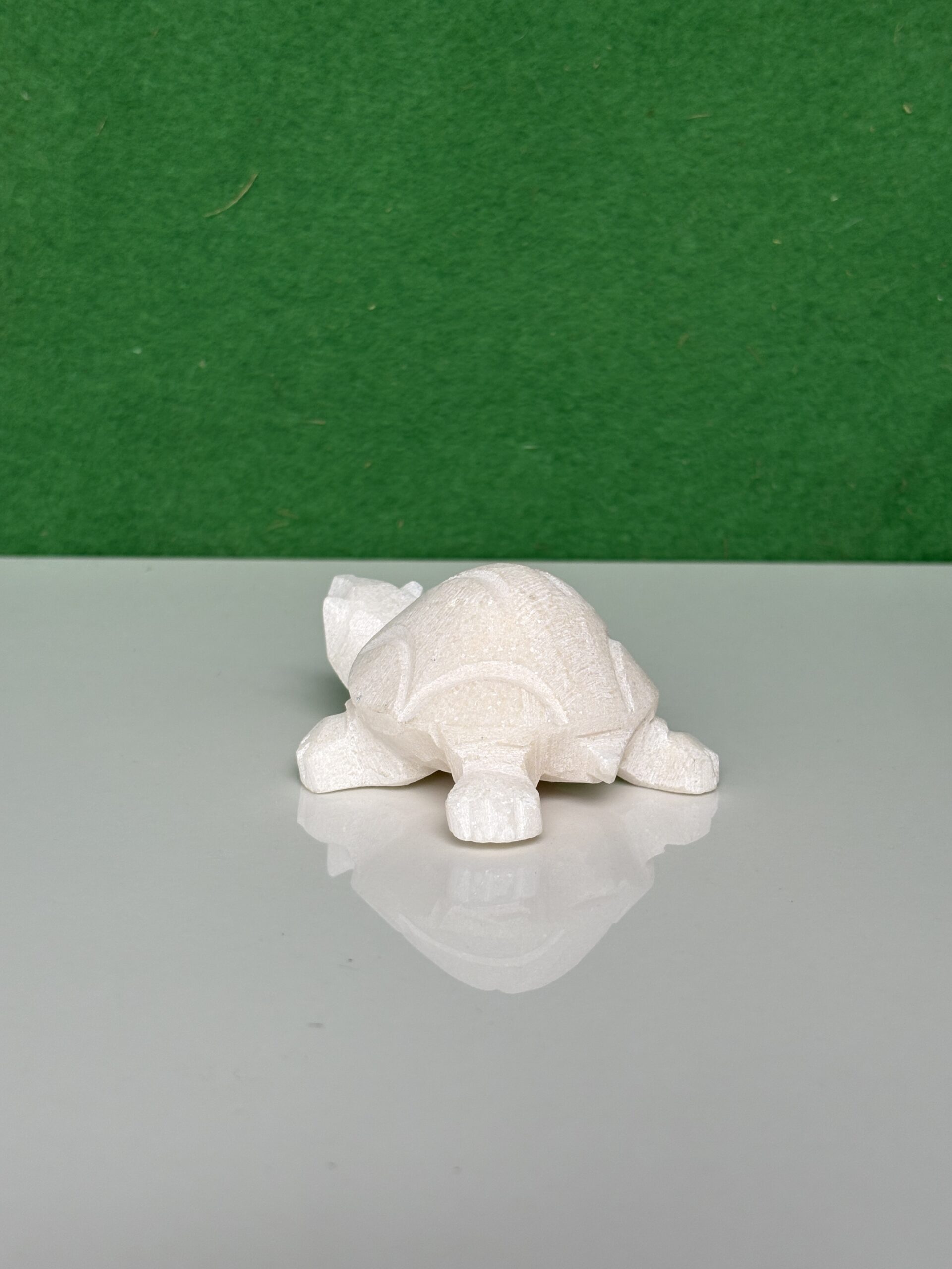 Turtle Tortoise Kachua For Home - Image 7