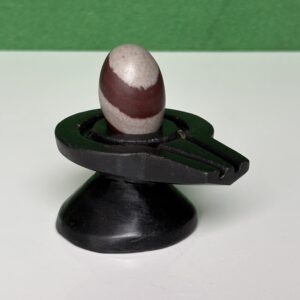Amazon Narmadeshwar Shivling
