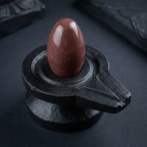 Swayambhu Narmadeshwar Shivling With Narmada Stone Yoni Base Jaladhari Stand For Home Temple Pooja